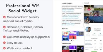 SocBundle - Professional WP Social Widgets Plugin